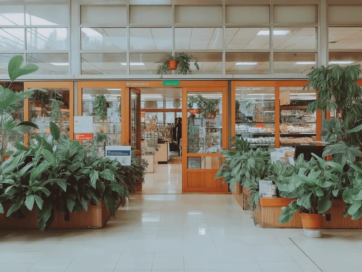 El interior de un vivero con plantas de interior a los costados del pasillo de entrada